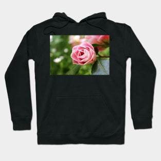 Pink Striped Rose Hoodie